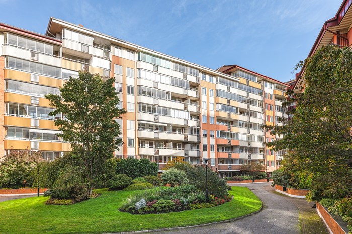 6235016_1_6235016-1_007_1