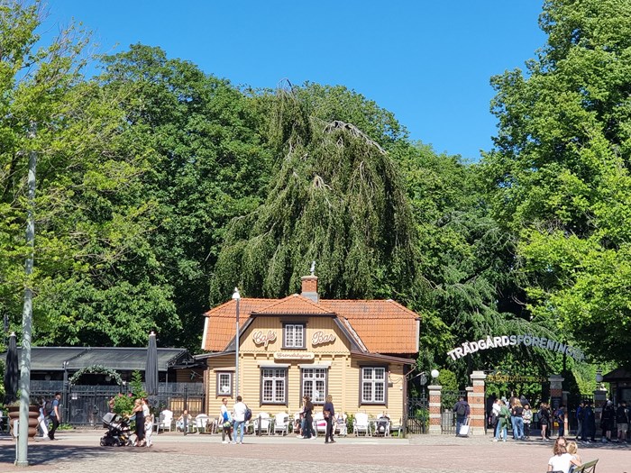 Trädgårdsföreningen