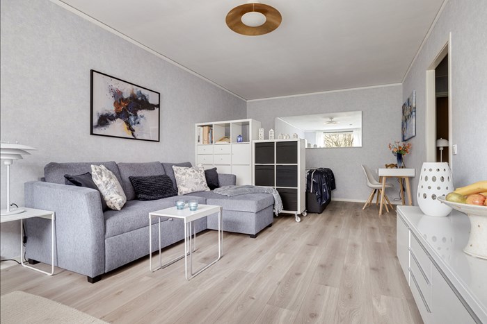 6244187_1_6244187-41_1