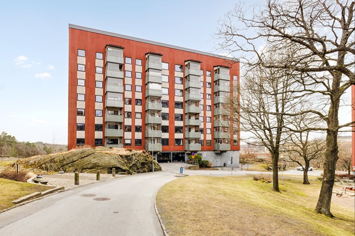 6244187_1_6244187-01_MS_1