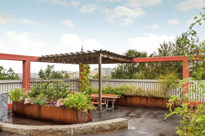 6228733_1_6228733-62_1