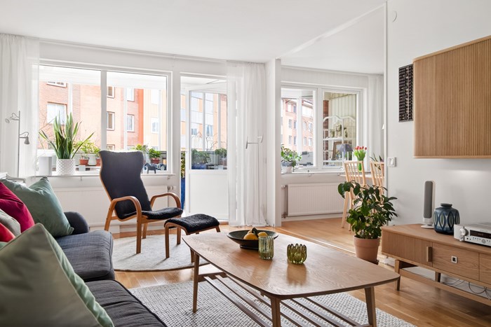 6245476_1_15042026-3Z9A6550_1