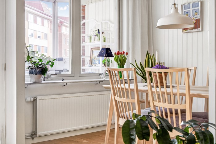 6245476_1_15042026-3Z9A6547_1