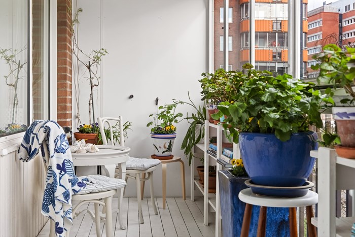 6245476_1_15042026-3Z9A6565_1