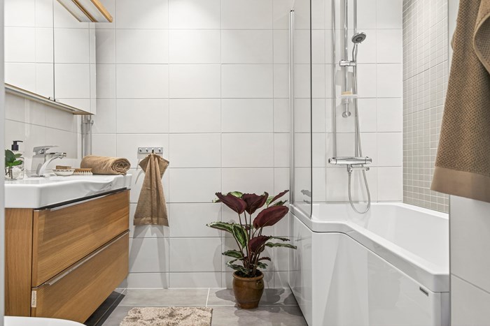 6245476_1_15042026-3Z9A6525_1