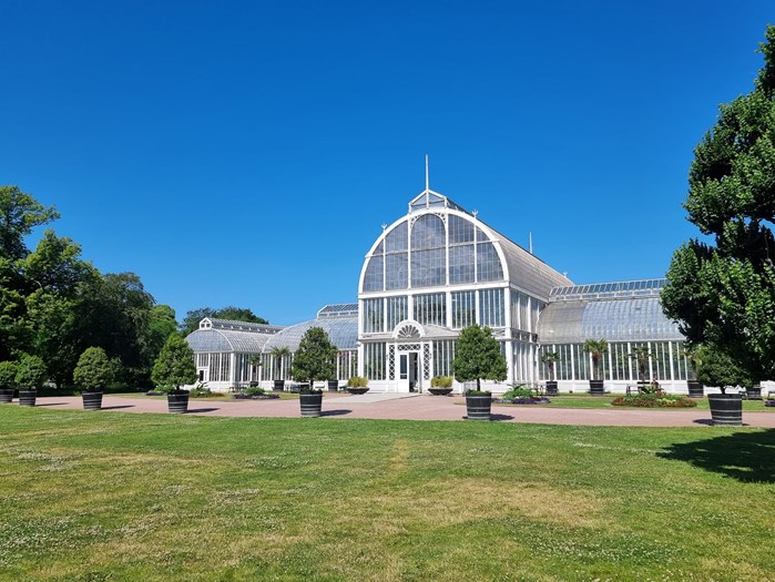Palmhuset