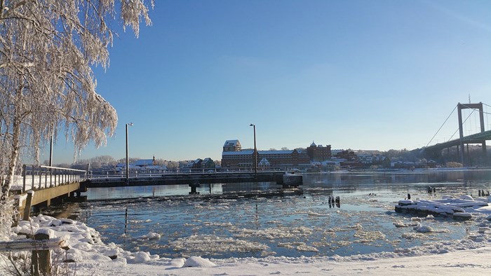Bron vinter