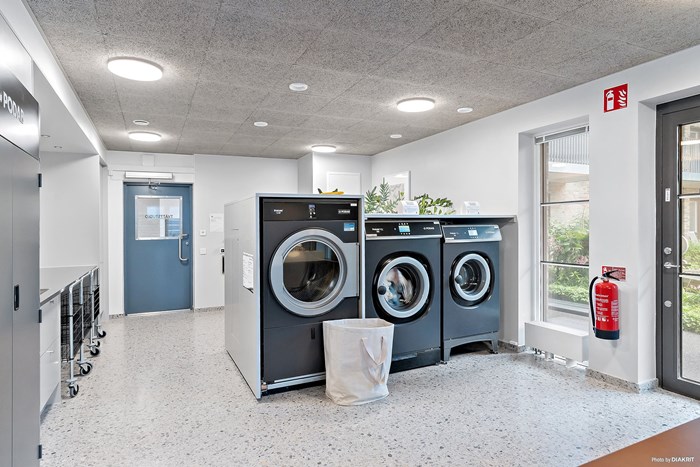 12484156_19-328-16_photo_web