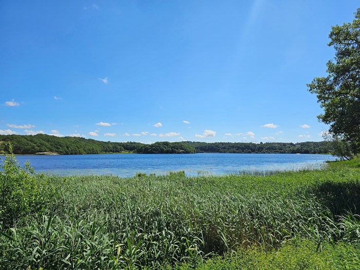 Larssons Berg 4