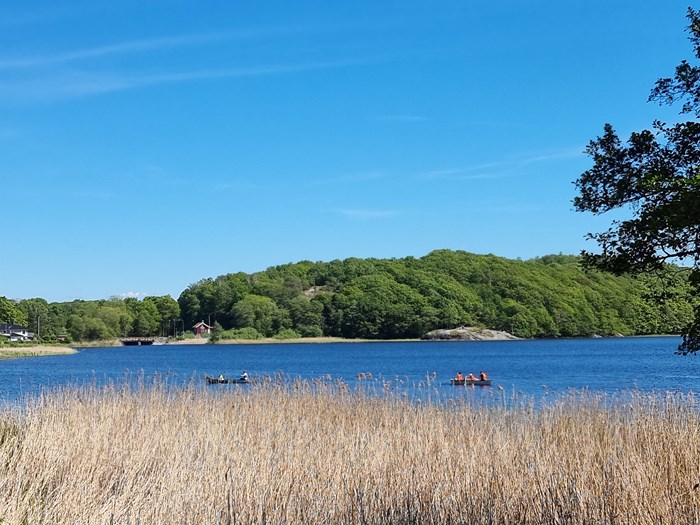 a42ce110-e68b-11ec-ac44-81f2d37152d6